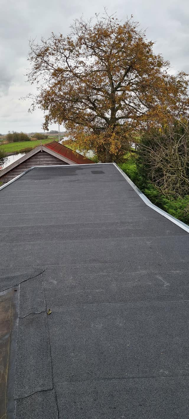 Bitumen dak op een bijgebouw met weilanden en een boom op de achtergrond